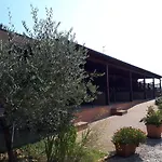 Paradisoincollina ss