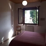 Paradisoincollina Ss