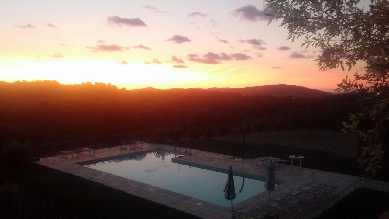 Paradisoincollina ss