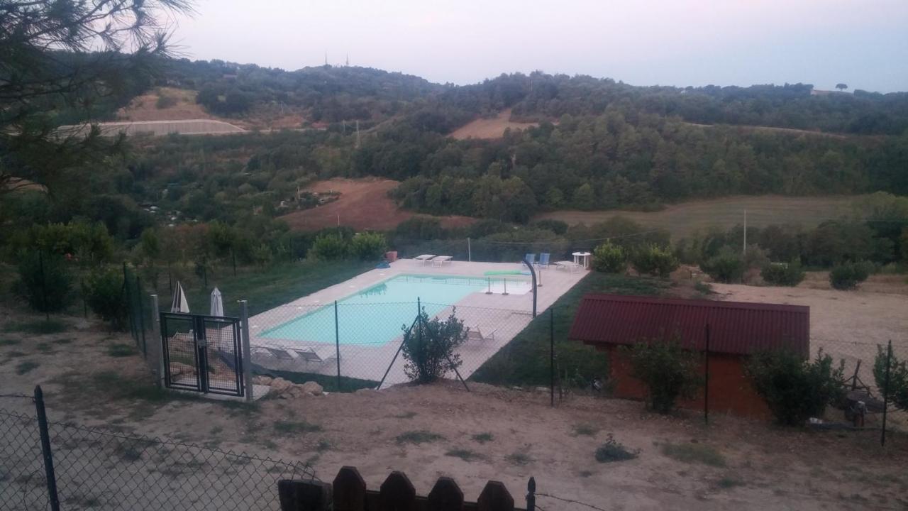Paradisoincollina ss *