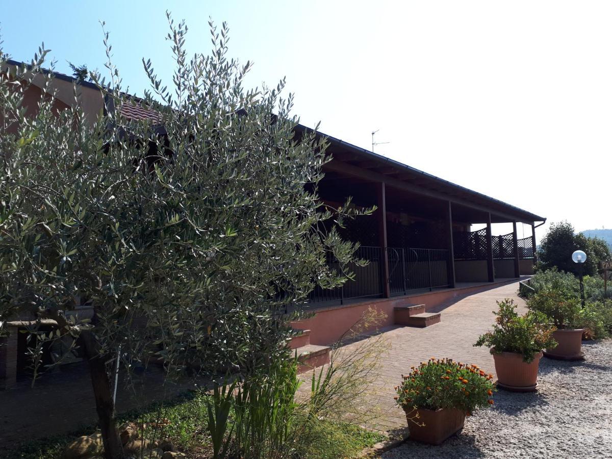 Paradisoincollina ss