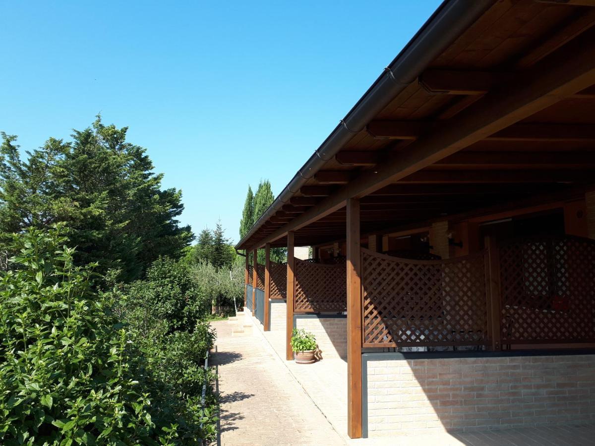 Paradisoincollina ss Alloggio per agriturismo *