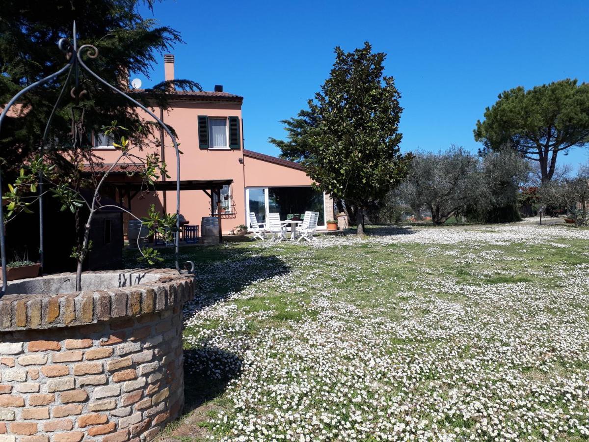 Paradisoincollina ss Pesaro