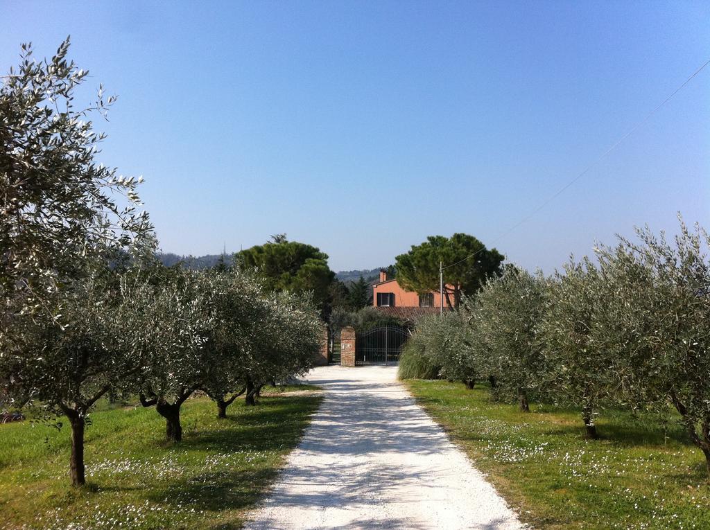 Alloggio per agriturismo Paradisoincollina ss