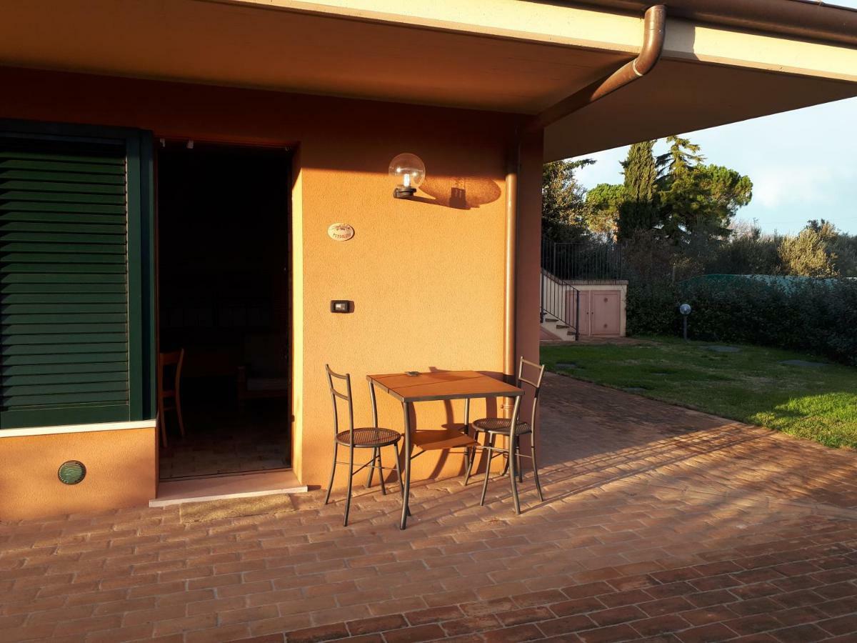 Paradisoincollina ss Pesaro